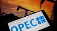 OPEC+ raises output levels again despite tumbling crude prices