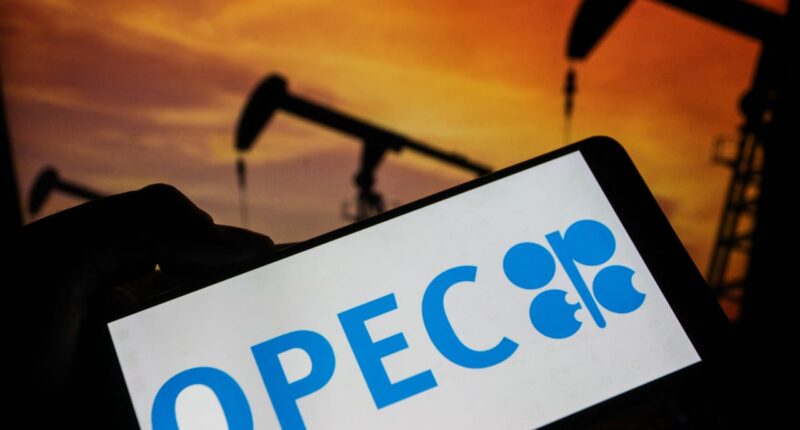 OPEC+ raises output levels again despite tumbling crude prices