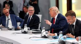 (L-R) German Chancellor Friedrich Merz, UK Prime Minister Keir Starmer, US President Donald Trump and French President Emmanuel Macron during theJune  G7 Summit in France