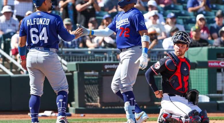 Recently Recalled Los Angeles Dodgers Catcher Dealt Heartbreaking News Before MLB Debut