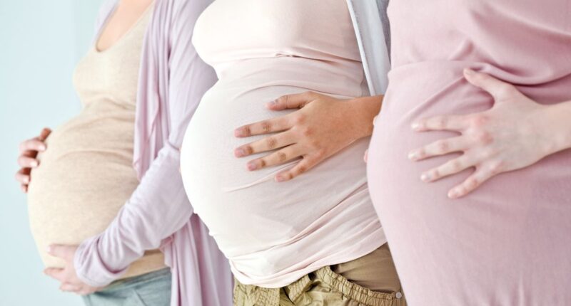 multiple women pregnant