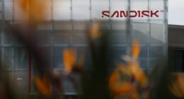 Sandisk’s and Micron’s stocks sink as the rotation trade builds, but supply shortages should limit losses
