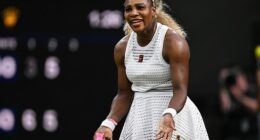 Serena Williams (pictured) has divided the tennis world after her comeback at Wimbledon saw her bundled out in the first round of the singles