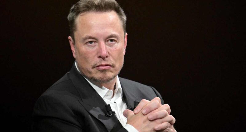 Tesla’s stock could rise 20% thanks to the potential for a SpaceX merger, analyst says