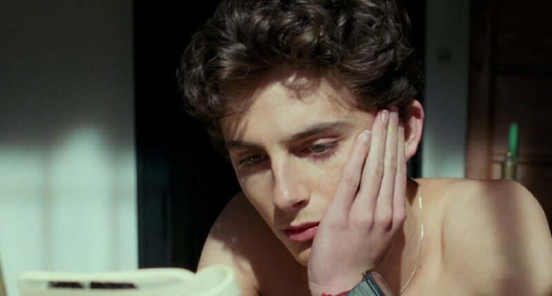 These 6 Timothée Chalamet Movies Are Masterpieces