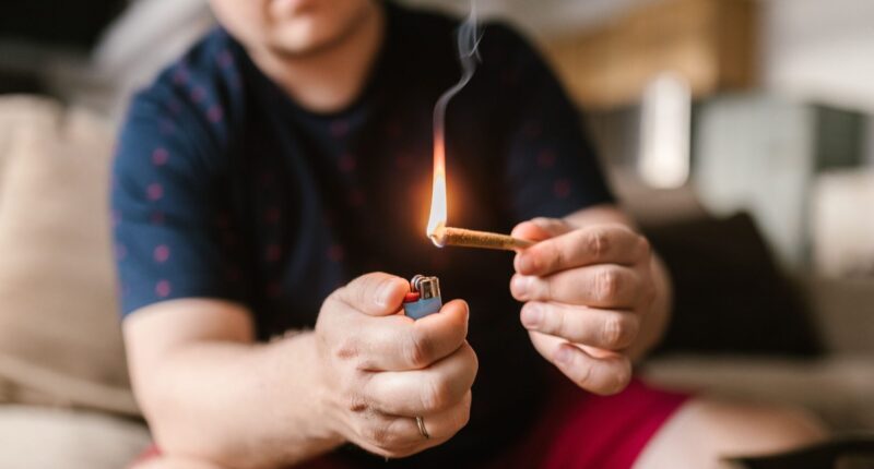 This State is Set to Launch Recreational Marijuana Sales. – The National Pulse