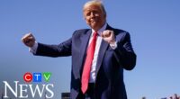 USA Eliminated In “Humiliating, Degrading Fashion” From The World Cup—Belgium And Netizens’ Brutal Responses – TVovermind