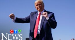 USA Eliminated In “Humiliating, Degrading Fashion” From The World Cup—Belgium And Netizens’ Brutal Responses – TVovermind
