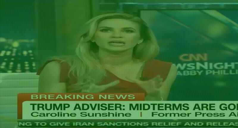 CNN panel left stunned when pundit says Trump is 'like Ozempic' for the economy