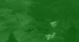 Extraordinary moment escaped inmate is found and captured with assistance from police helicopter using infrared camera
