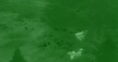 Extraordinary moment escaped inmate is found and captured with assistance from police helicopter using infrared camera