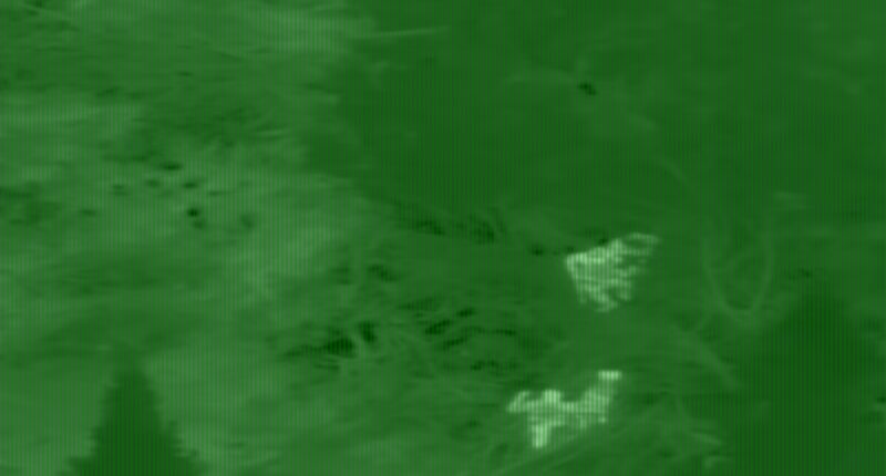 Extraordinary moment escaped inmate is found and captured with assistance from police helicopter using infrared camera