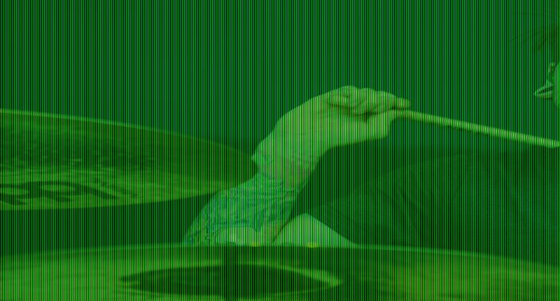 Famous drummer was killed in private jet crash after posting photo of himself at CONTROLS