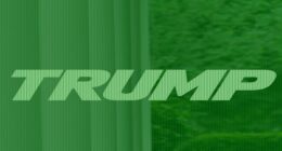 Report: The truth about Trump TV