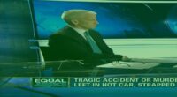 Sunny Hostin's admission about forgetting her toddler in hot car resurfaces