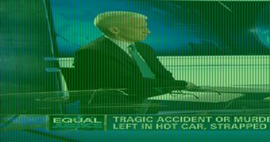 Sunny Hostin's shocking admission about forgetting her toddler in hot car resurfaces after controversial 'holdout' juror remarks were questioned
